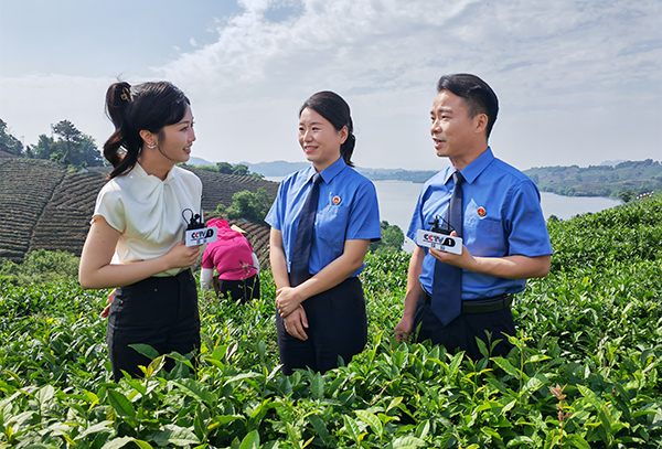 �۽���ë��֮�����z�o�����®���