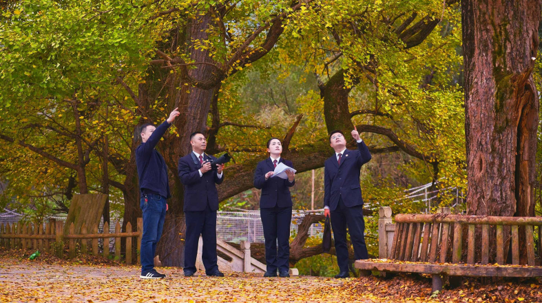 ������ꖣ�����z�������o(h��)�؎X�������B(t��i)��