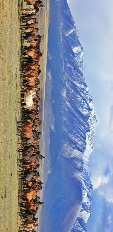 �f���{(di��o)�Ј�(b��o)�������z���o(h��)�ƾ�