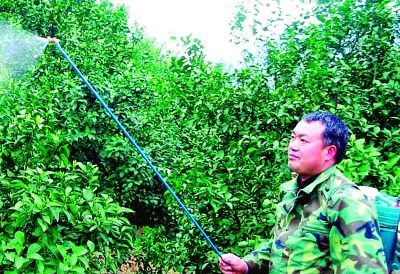 ʮ�˴�����Z�|�����������I�Jδ��