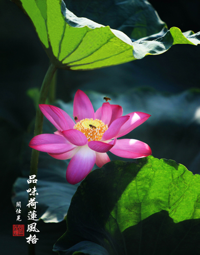 Ʒζ��ɏ�L��