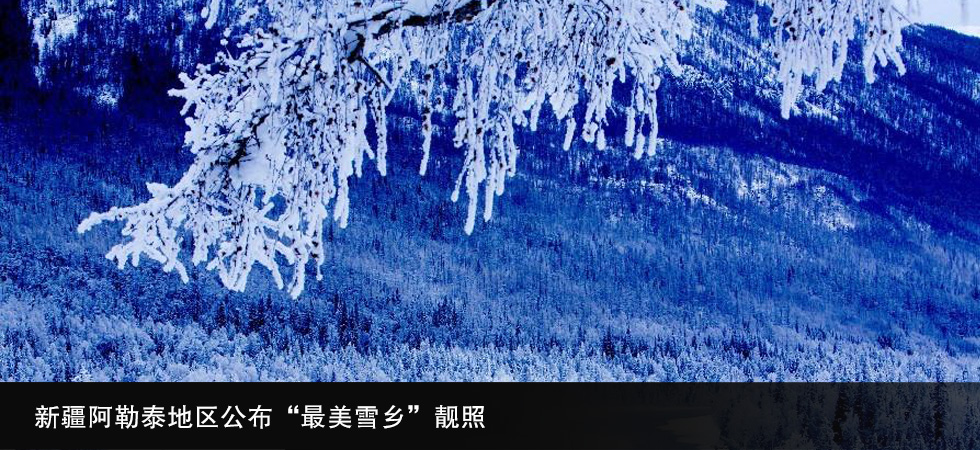 �½�����̩�؅^����������ѩ�l���n��