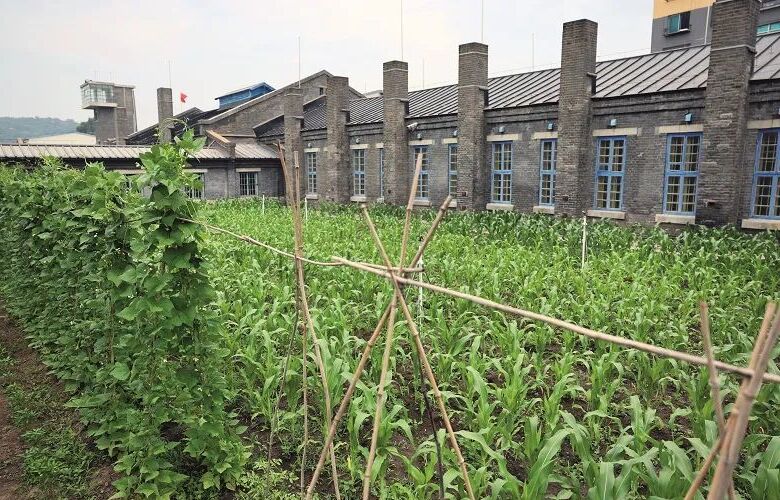 ����𷸣� һ��ʷ�oǰ���ġ��`��֮�𡱣����V�ձ����؄e�����