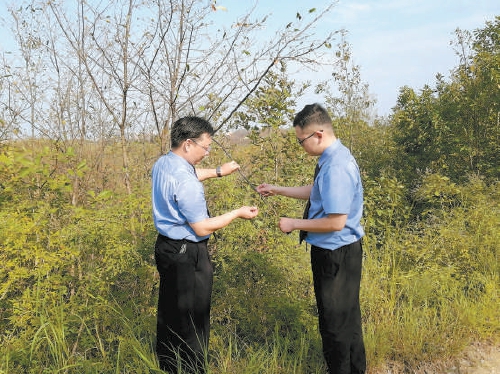 守護(hù)500多戶蠶農(nóng)“綠色錢袋子”